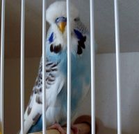 2011013.JPG